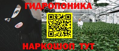 трава Будённовск