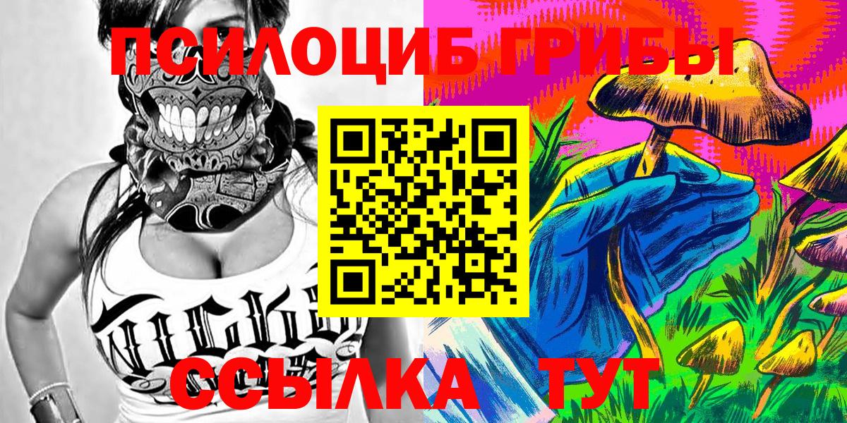 Псилоцибиновые грибы мицелий  Вход с VPN  Михайловка  Галлюциногенные грибы Psilocybe 